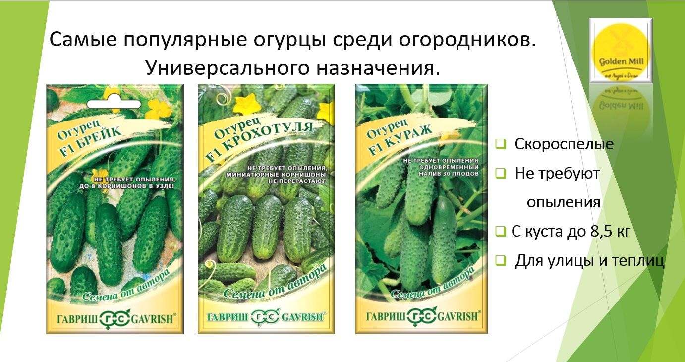 Огурцы кураж описание