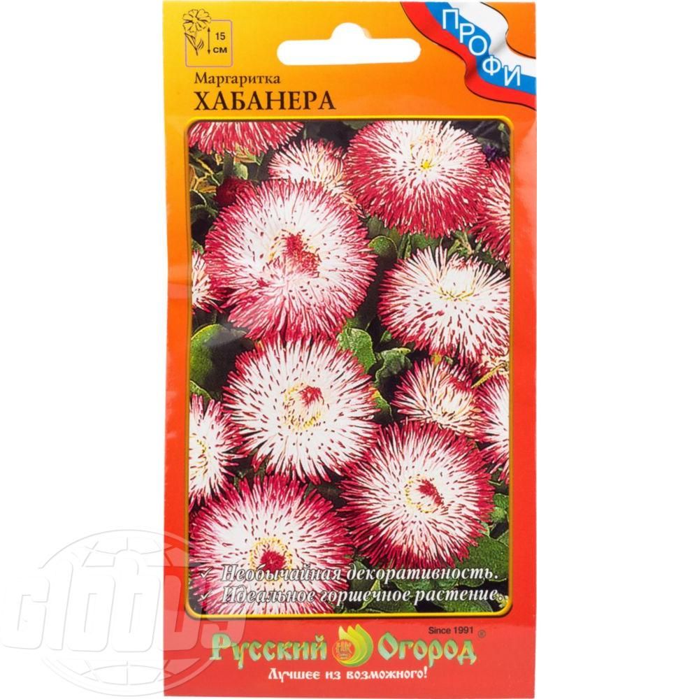 Маргаритки Семена Купить