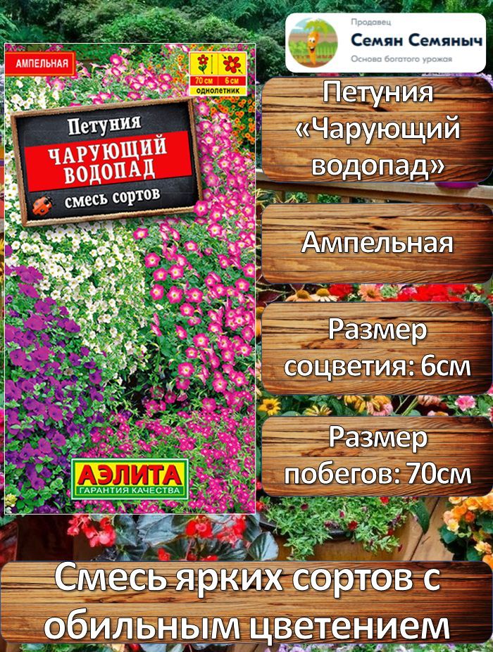 Чарующий водопад петуния ампельная. Петуния чарующий водопад смесь сортов. Петуния чарующий водопад ампельная смесь фото. Петуния чарующий водопад смесь сортов фото.