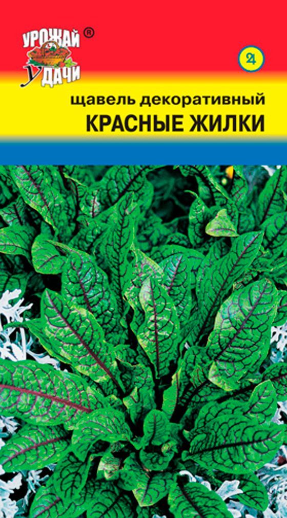 Щавель декоративный фото и описание