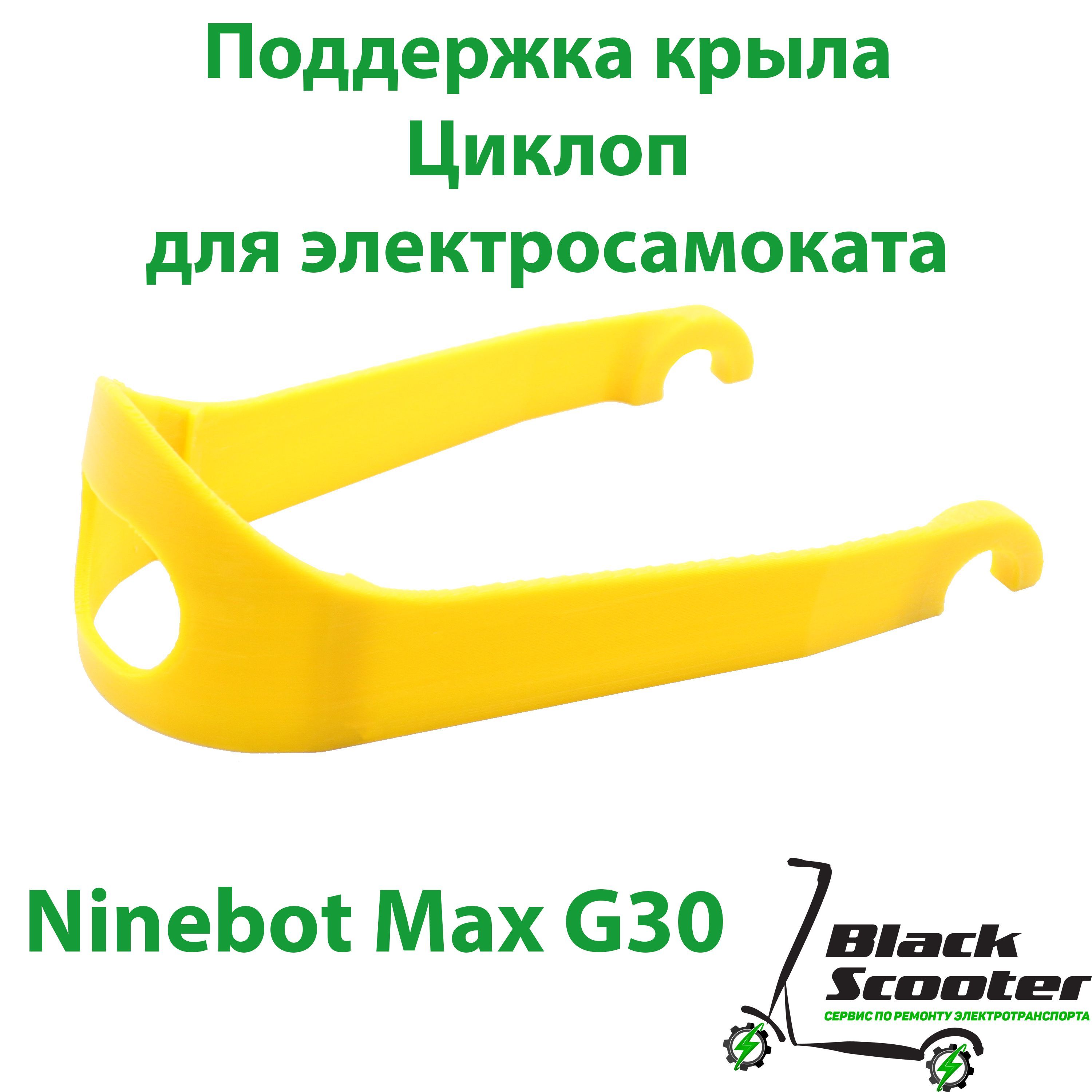     Ninebot Max G30     