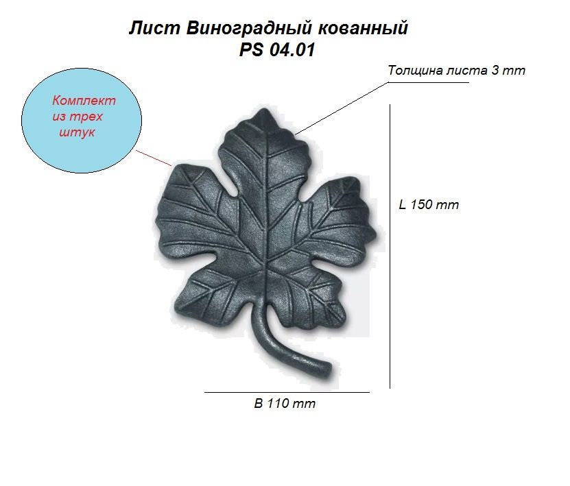 Тип листа винограда. Тип листа винограда