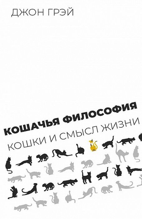 Что такое что мем с котом философия