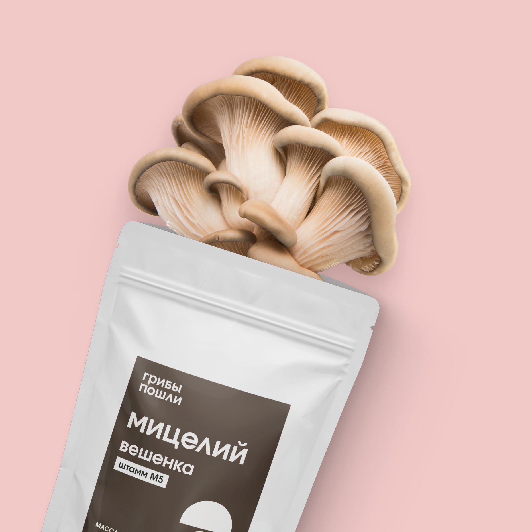 Грибы семечки. Мицелий грибов гавриш грибное лукошко вешенка обыкновенная на древесной палочке 12 шт. Грибы семечки. Мицелий грибов подберезовик. Мицелий грибов белый гриб березовый, 60 мл, престиж.