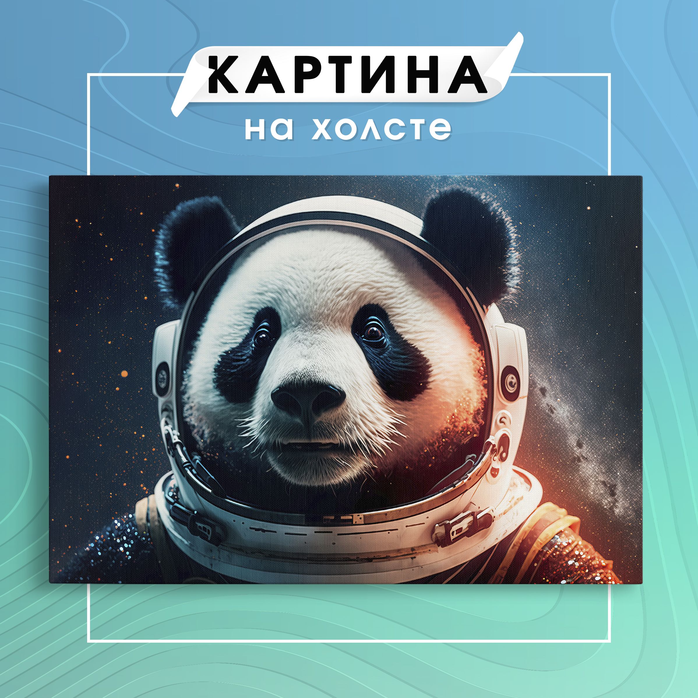 Панда из космоса