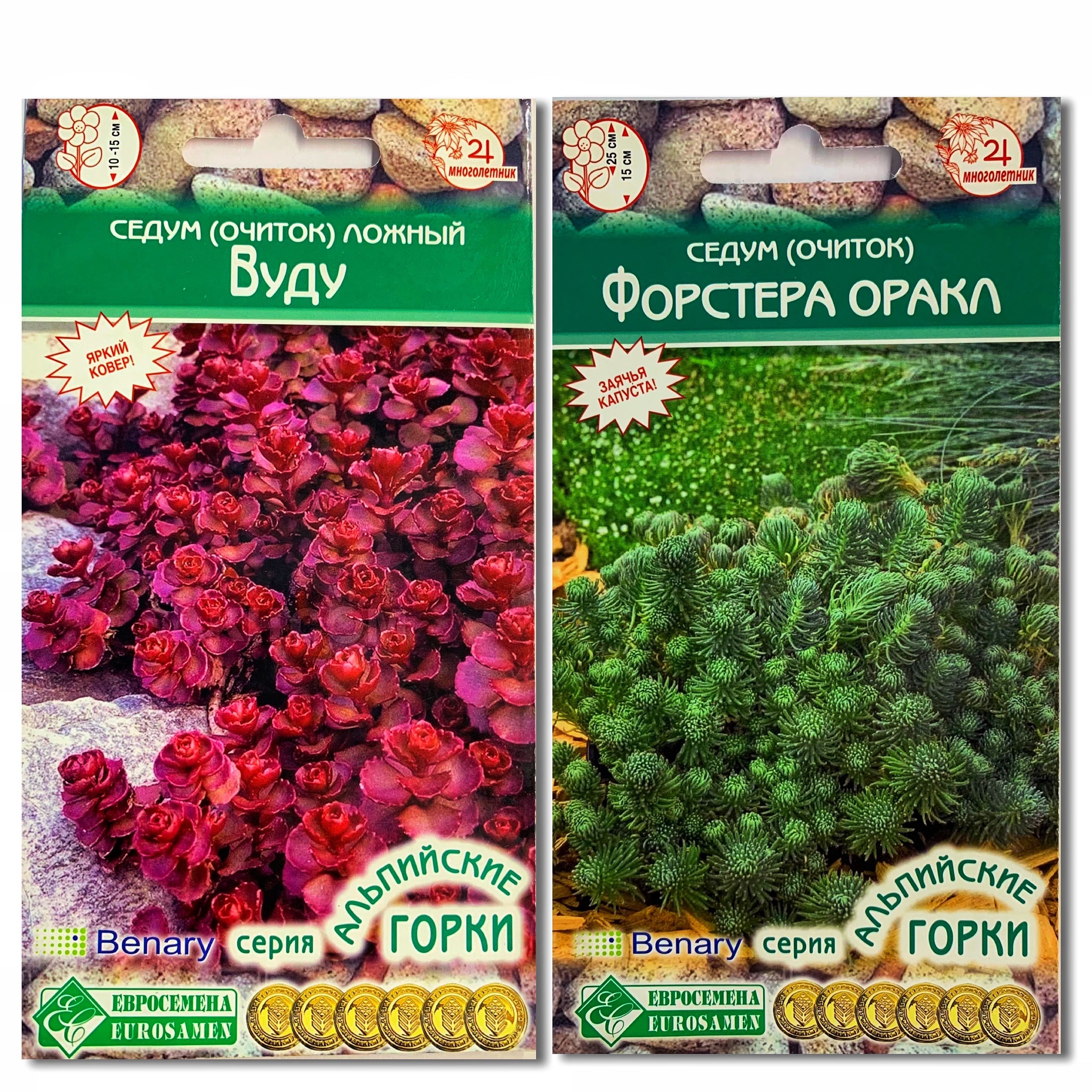 Очиток (Седум) Евросемена...