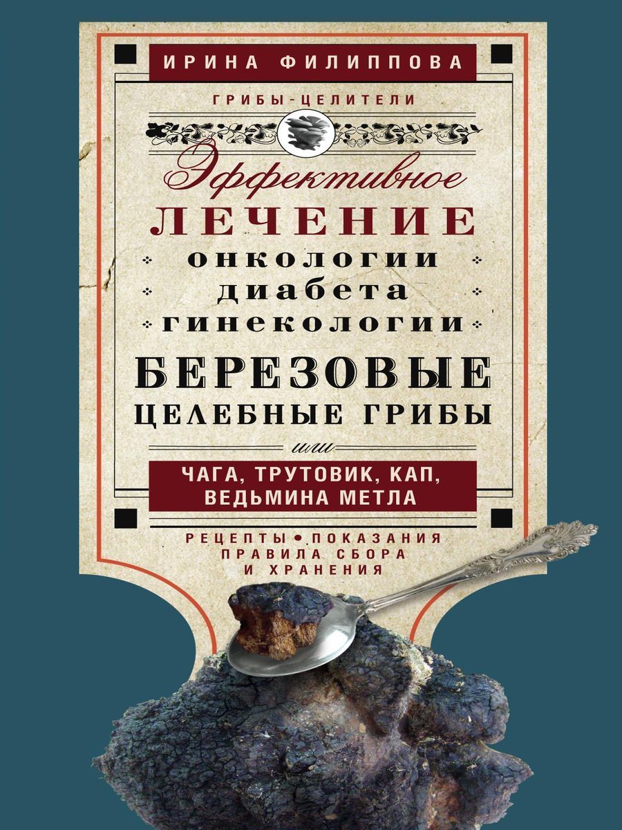 Березовые целебные грибы. Эффективное лечение онкологии, диабета,  гинекологии... - купить с доставкой по выгодным ценам в интернет-магазине  OZON (1043134275)