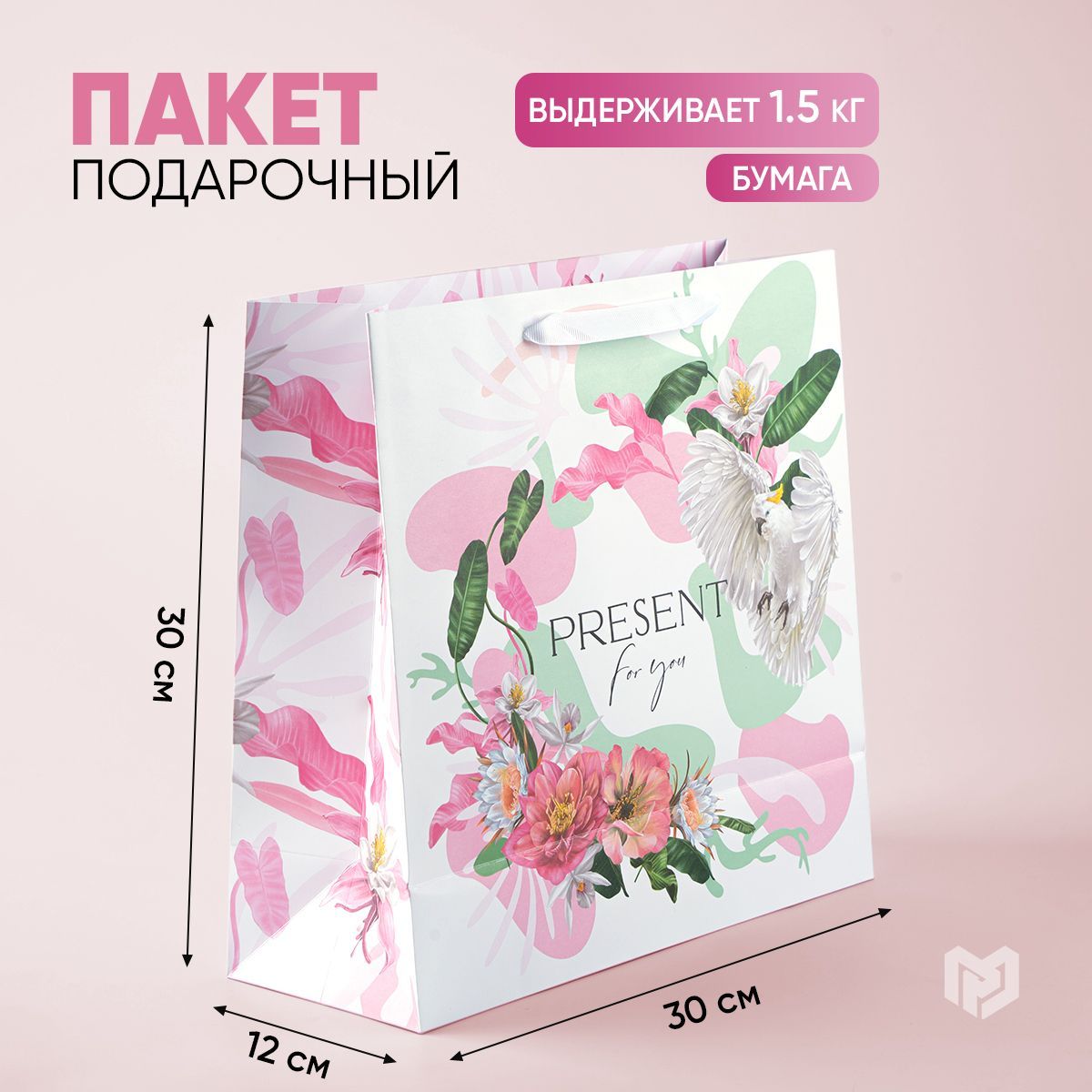 Пакет подарочный "Present for you", 30 х 30 х 12 см