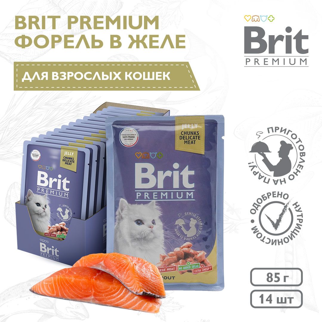 Брит Для Котят Влажный Купить