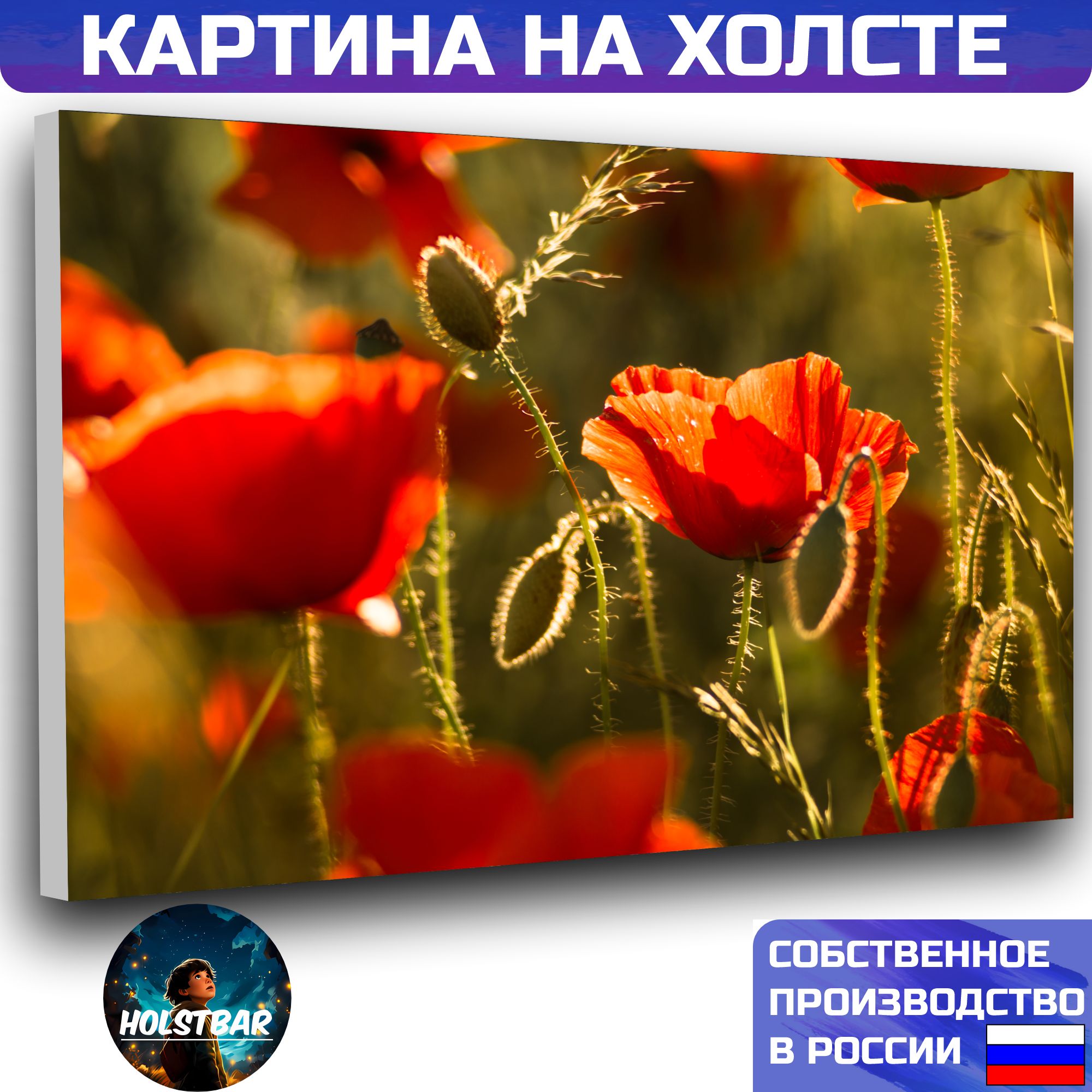 Купить Живые Маки В Москве