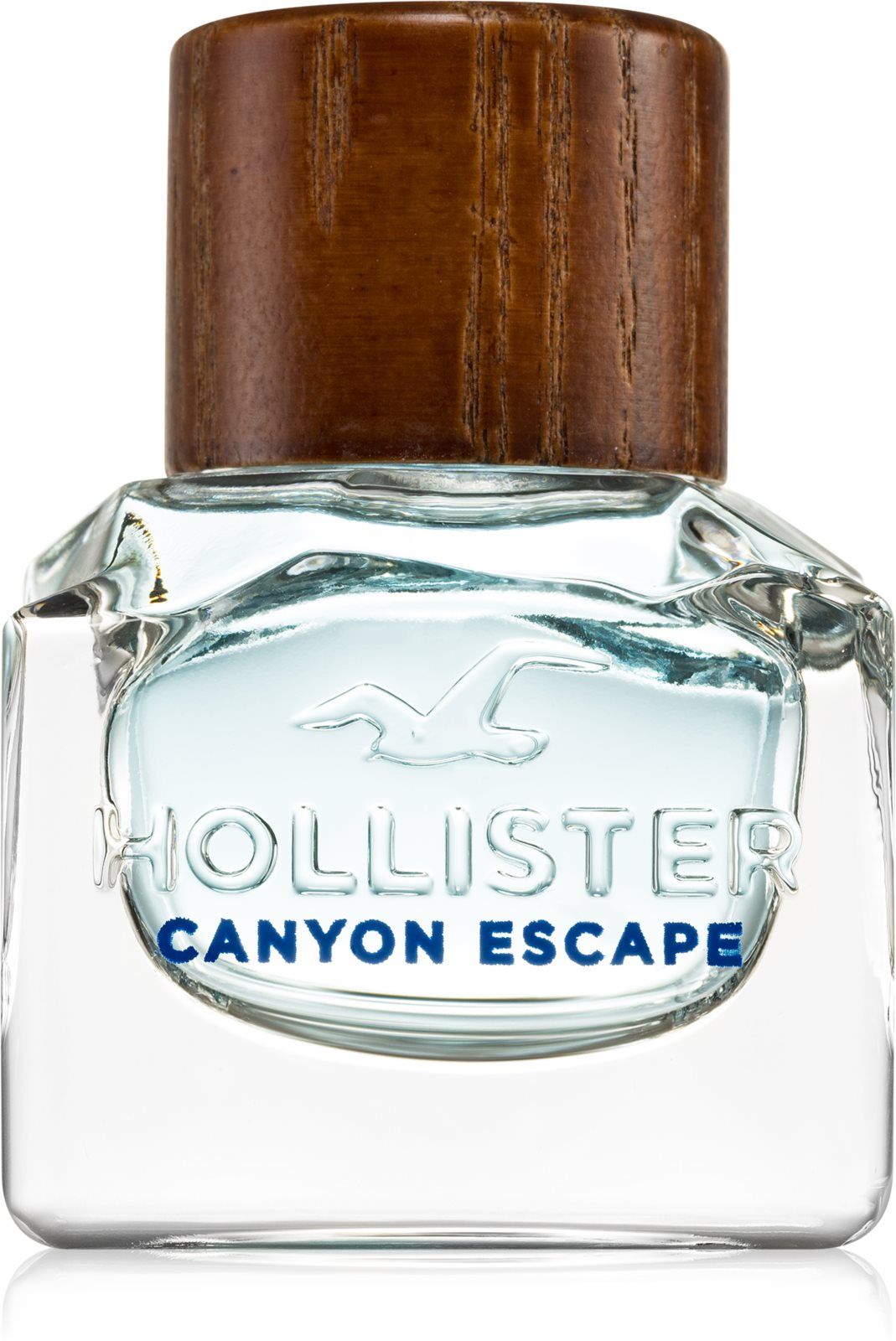 Hollister canyon escape. Hollister Canyon Escape man EDT 50 ml. Hollister Canyon Escape man. Canyon Escape m EDT 30 ml [m].