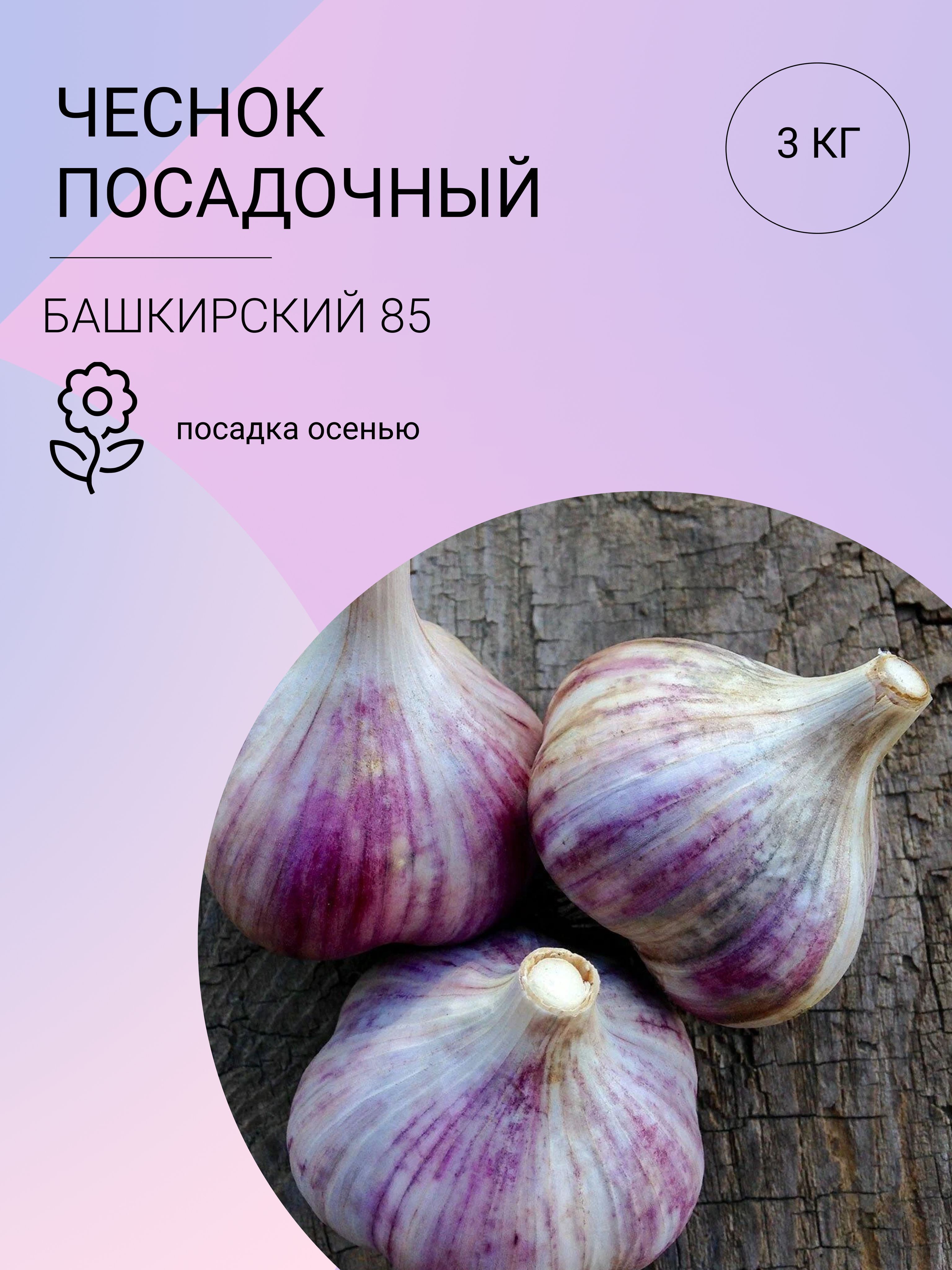 чеснок фасованный. килограмм чеснока. чеснок в магазине пятерочка. чеснок магнит. пятерочка чеснок.