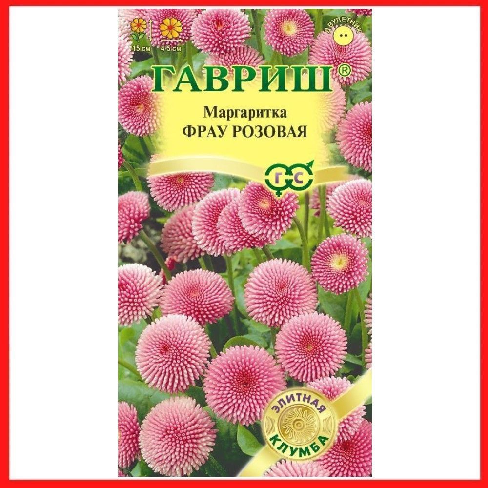 Маргаритки Семена Купить
