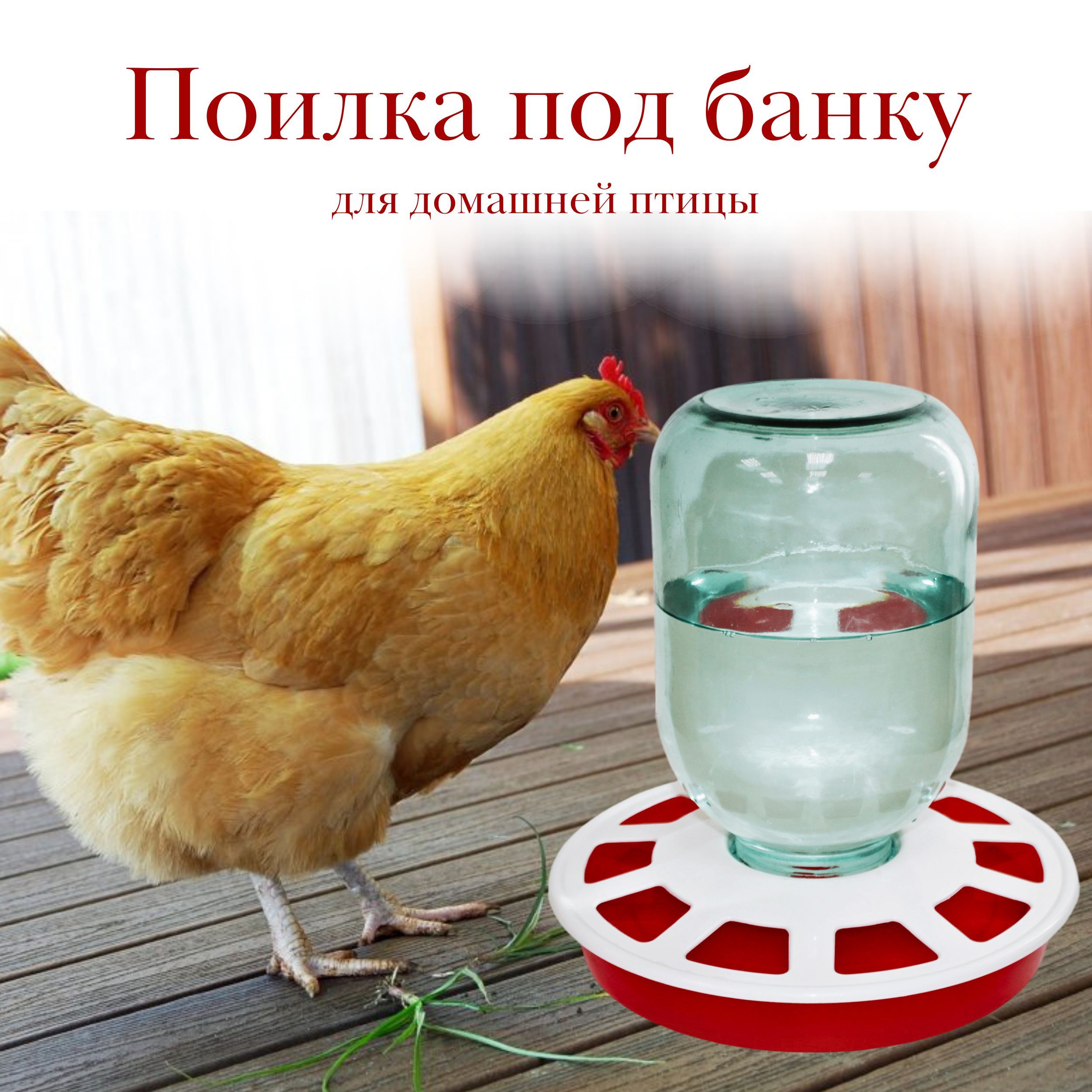 Поилка для цыплят