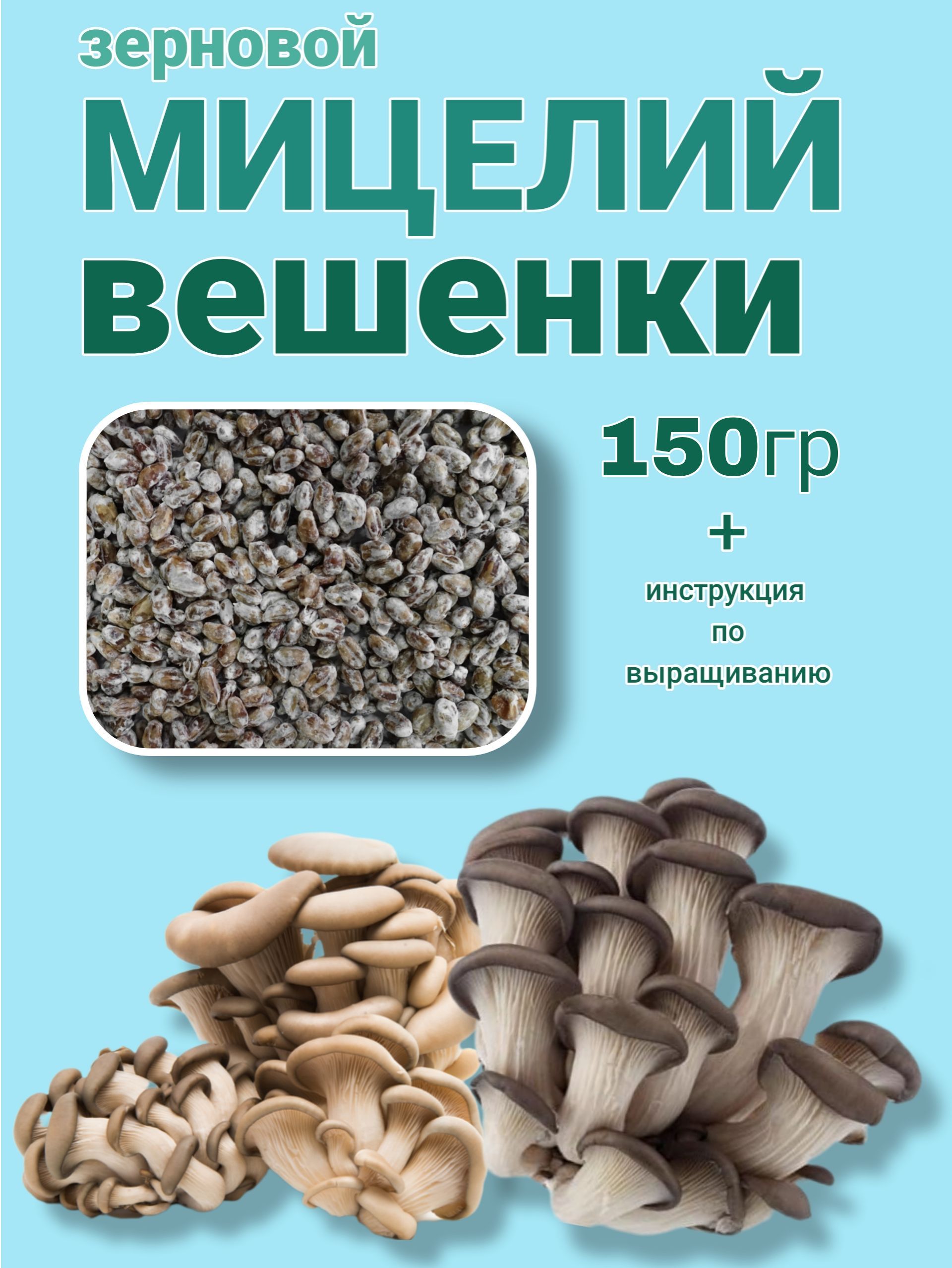 мицелий вешенки зерновой 150гр