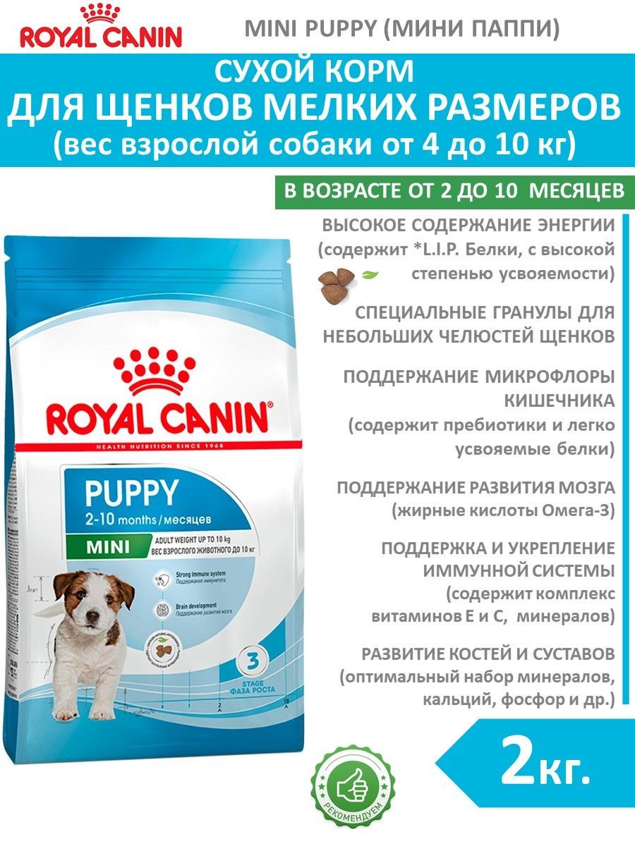 Сухой корм (2 кг) для щенков мелких пород до 10 месяцев Royal Canin Mini  Puppy, с птицей - купить с доставкой по выгодным ценам в интернет-магазине  OZON (950343663)