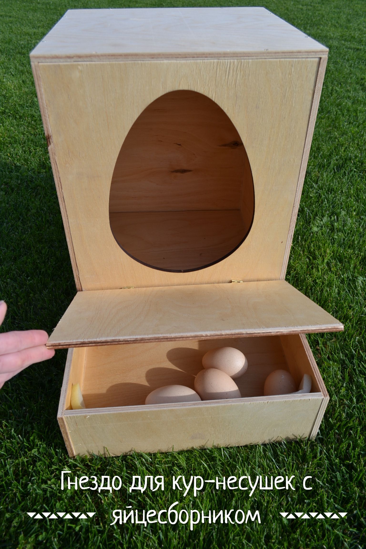 Гнездо для кур несушек с яйцесборником - простая забота о завтрашней прибыли!