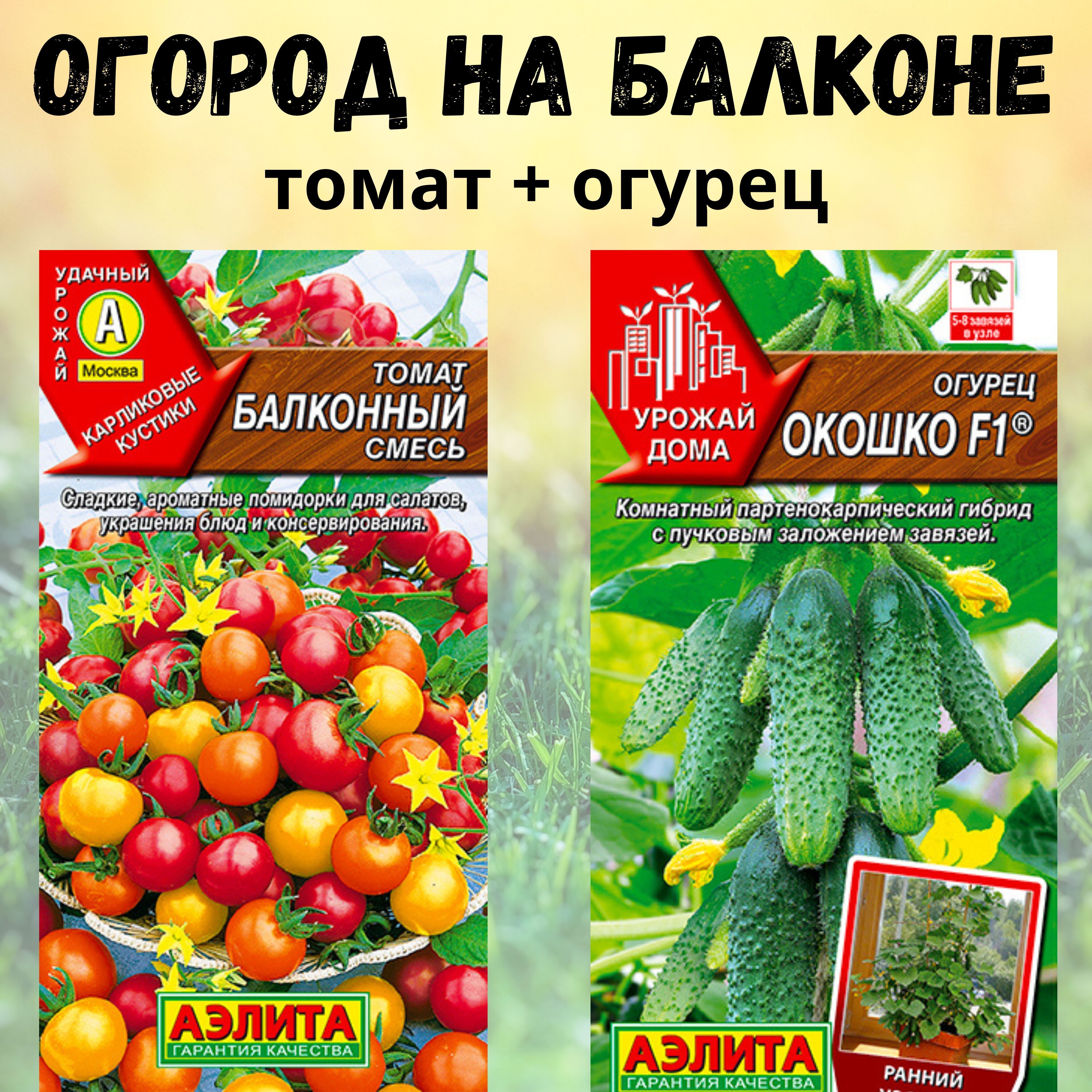 Огурцы Балконное Чудо Купить Семена