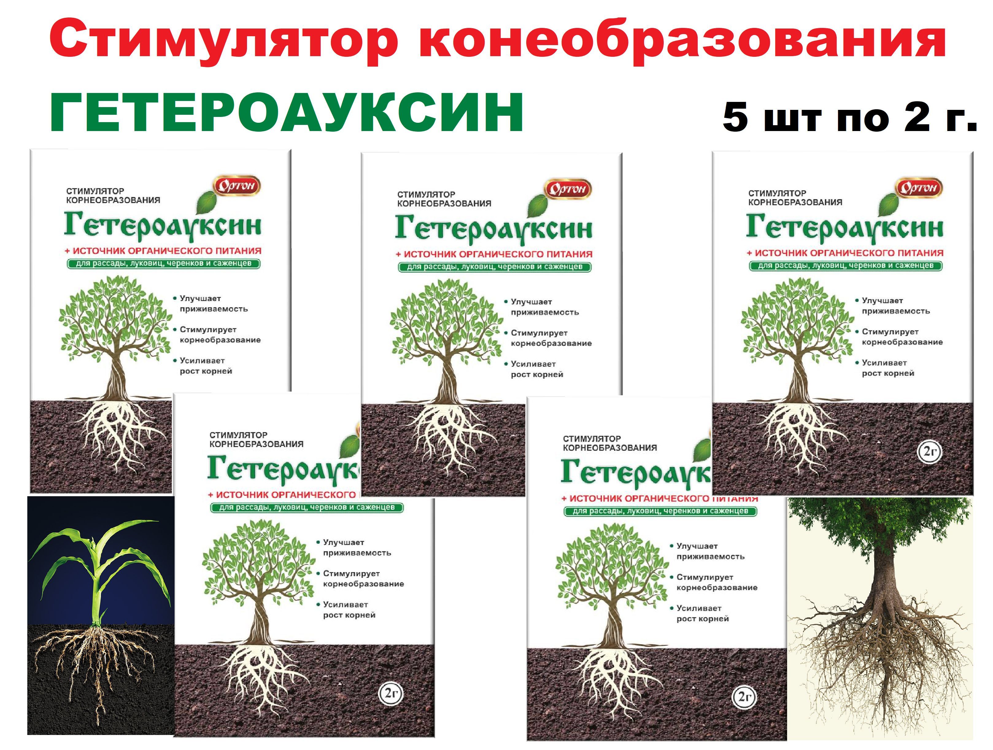 Укоренитель – купить в интернет-магазине OZON по низкой цене