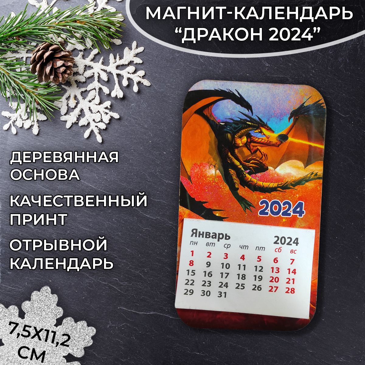 29 января 2024 магнитные