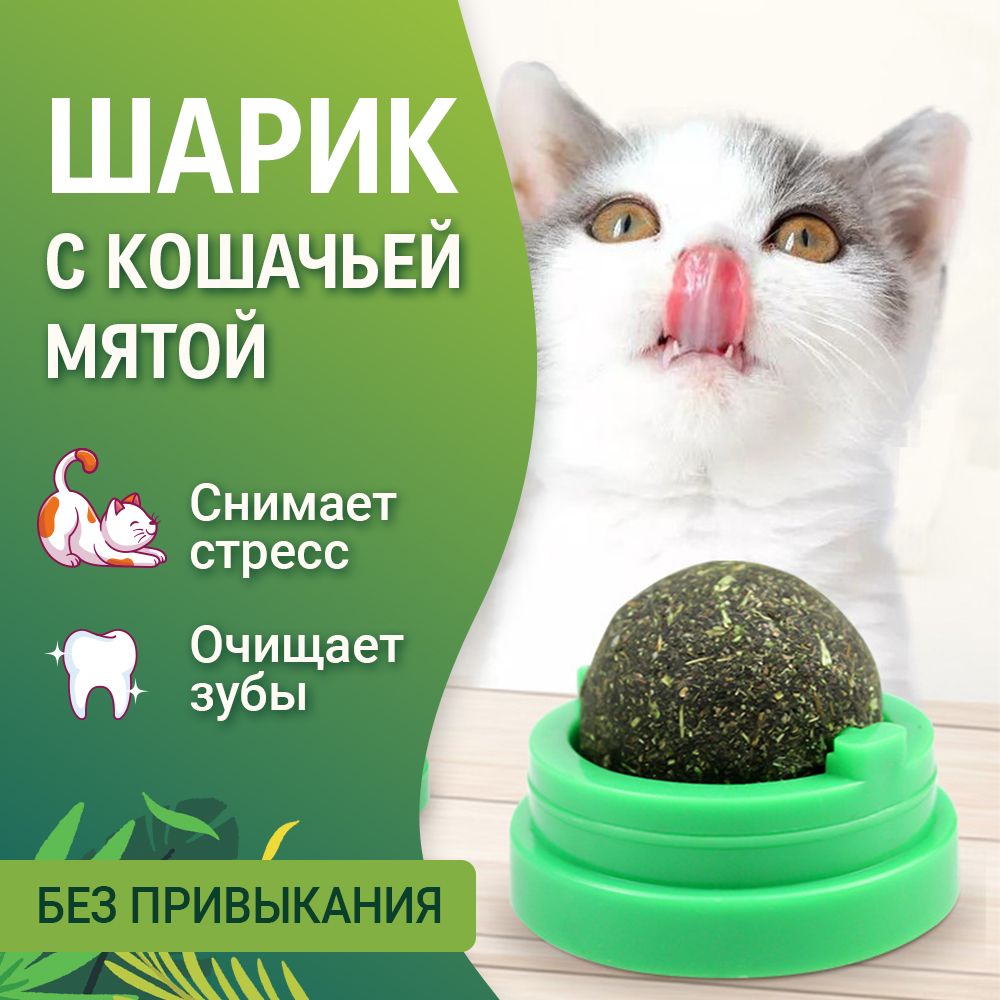 Кошачья мята / шарик для кошек, леденец, конфета с мятой для животных /  игрушки для кошек - купить с доставкой по выгодным ценам в  интернет-магазине OZON (811148262)