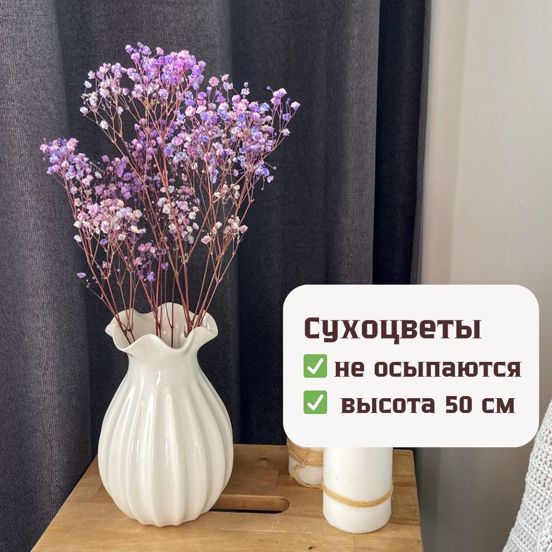 Стабилизированные цветы Гипсофила, 50 см, 20 гр, 1 шт