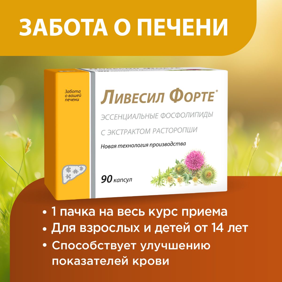 Ливесил форте капс. 1000 мг №30 эссенциальные фосфолипиды расторопша