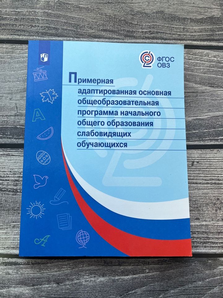 Примерные адаптированные программы по фгос. Примерные адаптированные программы по фгос