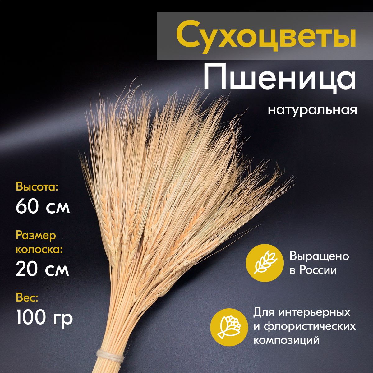 Сухоцветы Элитупак Пшеница, 60 см, 100 гр купить по выгодной цене в  интернет-магазине OZON (284355446)