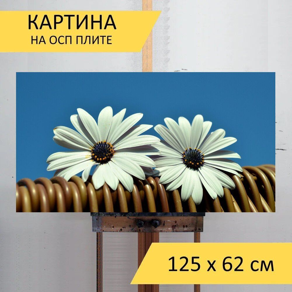 Картина неба 