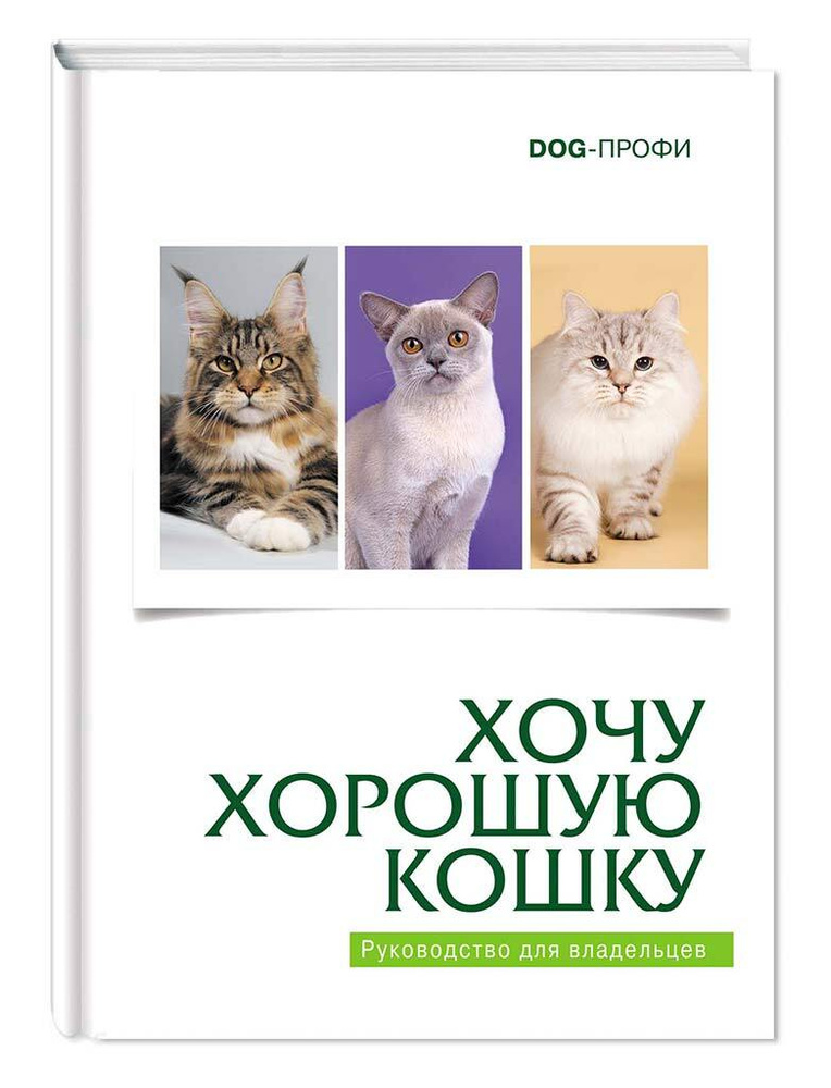 Хочу хорошую кошку DOG-ПРОФИ | Ришина Наталия А. #1