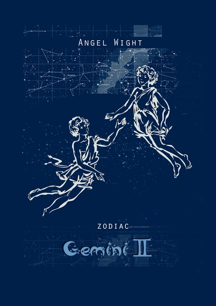 Gemini #1