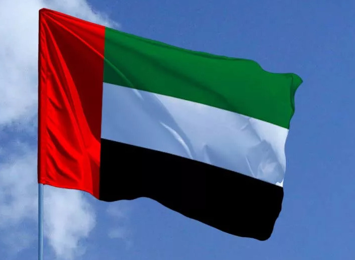 Флаг Дубая Фото