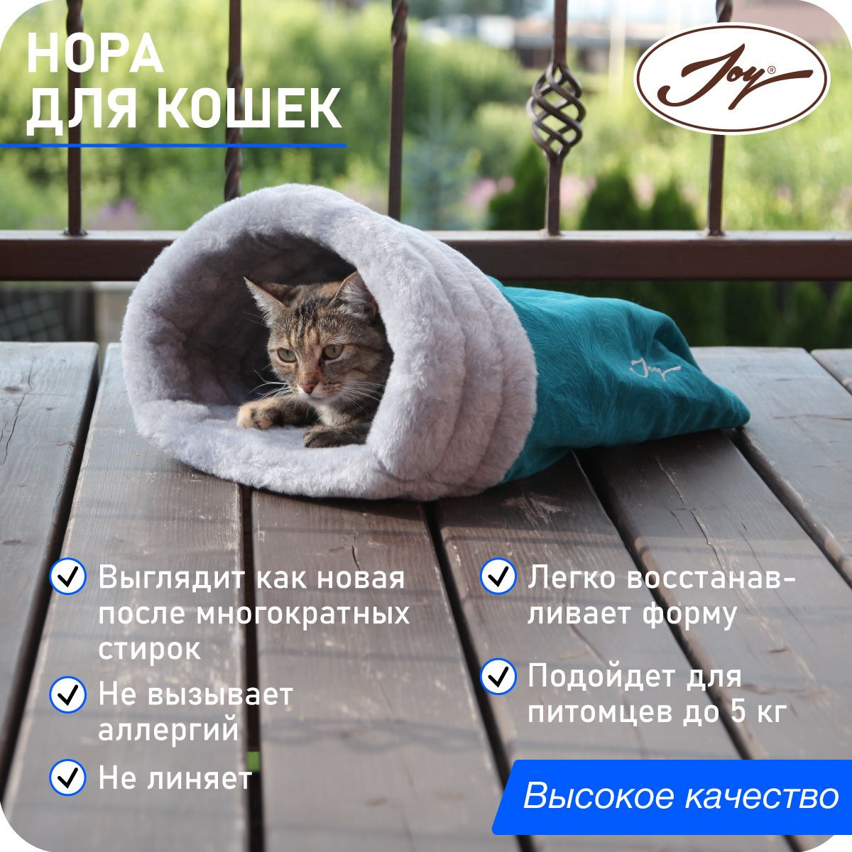 Фото Кота Легко