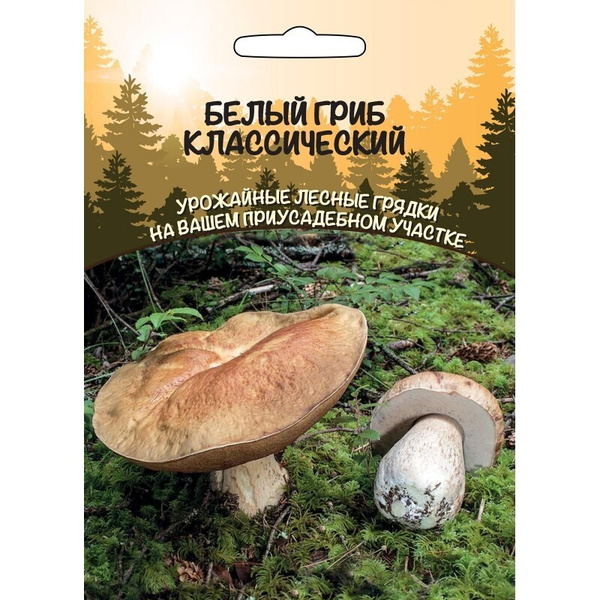 Мицелий Грибы Белый гриб классический 30 мл (Уральский дачник) - купить ...