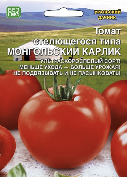 Томаты Уральский дачник Томат Монгольский карлик - купить по выгодным ...