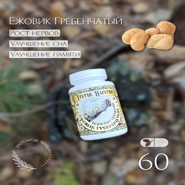 Характеристики Ежевик (Ежовик) Гребенчатый / Герициум / Львиная грива ...