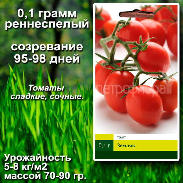Томаты Северный Огород Томат_ЗЕМЛЯК_104078 - купить по выгодным ценам в ...
