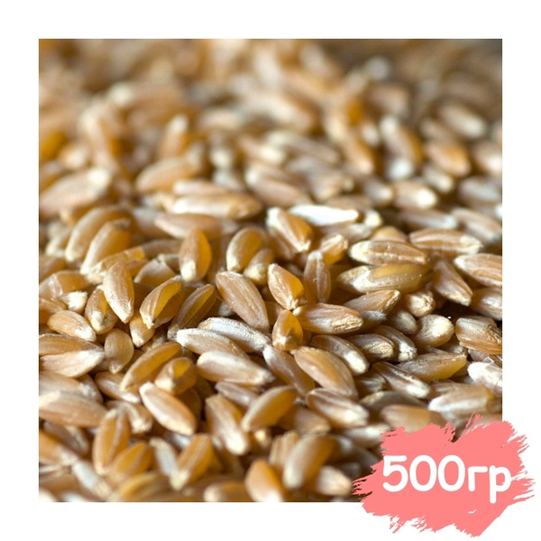 Крупа Полба, Вегетарианский продукт, Vegan 500 гр - купить с доставкой ...