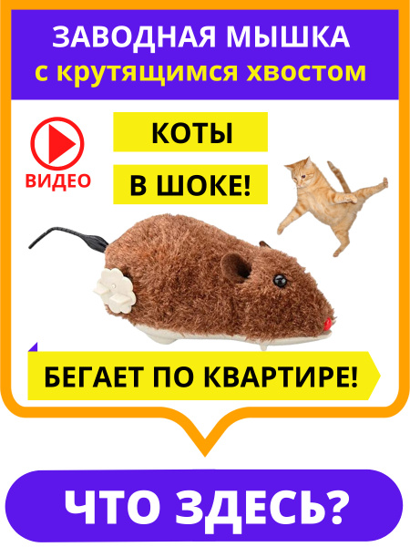 Интерактивная игрушка для животных заводная мышка мышь для кошек собак  кусалка дразнилка - купить с доставкой по выгодным ценам в  интернет-магазине OZON (575687450)