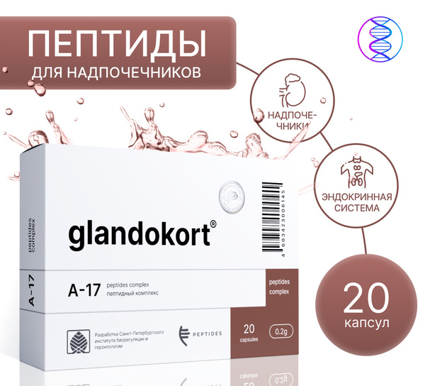 Гландокорт (пептиды Хавинсона) для надпочечников N20 таб; Цитомакс ...