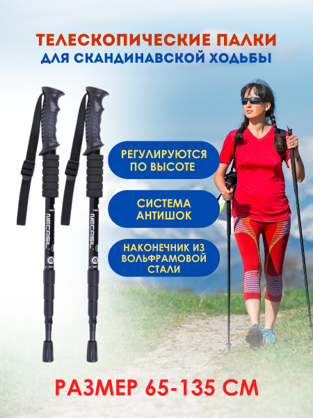 Палки для скандинавской ходьбы 65-135 см - купить с доставкой по ...
