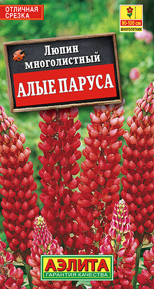 Люпины многолетние, Люпин Агрофирма Аэлита 46-LUPINA - купить по ...