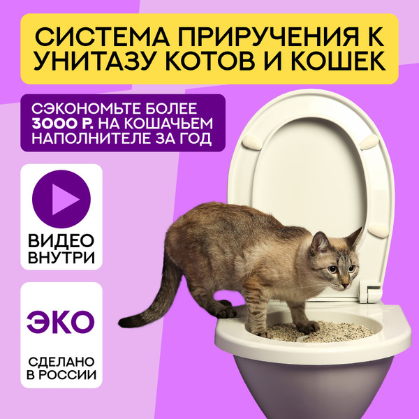 Как приучить кота к туалету в унитаз