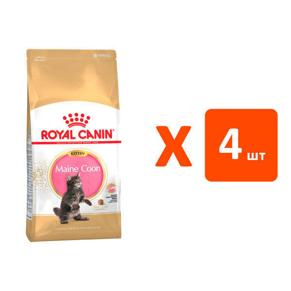 ROYAL CANIN MAINE COON KITTEN 36 для котят мэйн кун (2 кг х 4 шт ...
