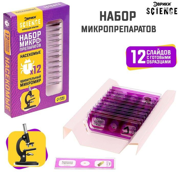 Набор для опытов Набор микропрепаратов , насекомые - купить с доставкой ...