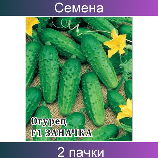 Купить Семена Огурцов Для Фермеров