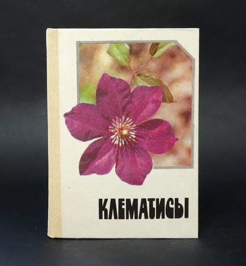 Клематисы - купить с доставкой по выгодным ценам в интернет-магазине ...