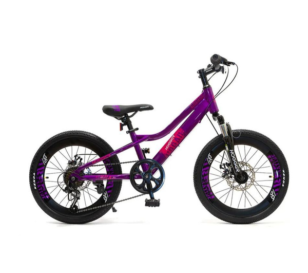 Велосипед детский 20" HOGGER URBAN (2021) - купить по выгодной цене в ...