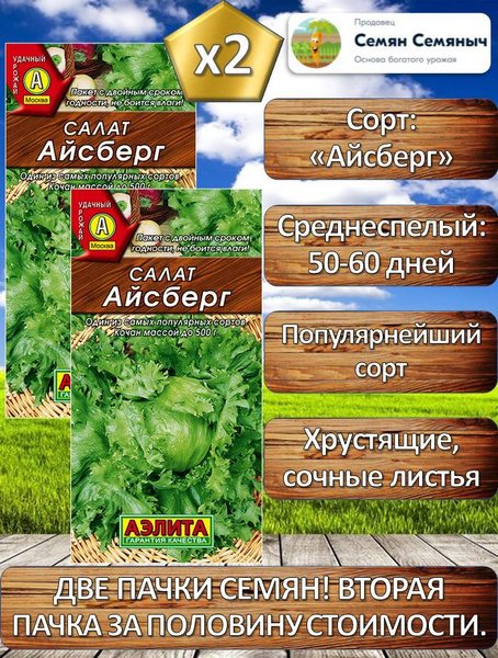 Салат Аэлита Салат 1_2_Айсберг - купить по выгодным ценам в интернет ...